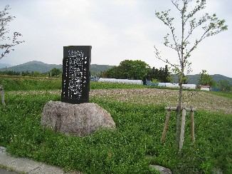 a0087378_53266.jpg