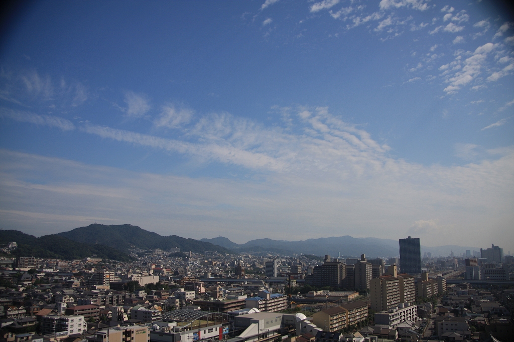 e0024081_1314594.jpg