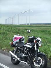 f0004182_14573838.jpg