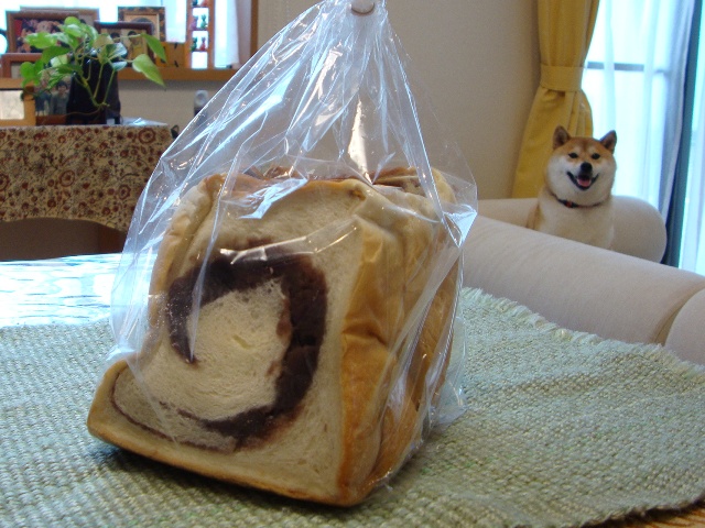 みなさん、ごちそうさまです!_a0126590_5584471.jpg