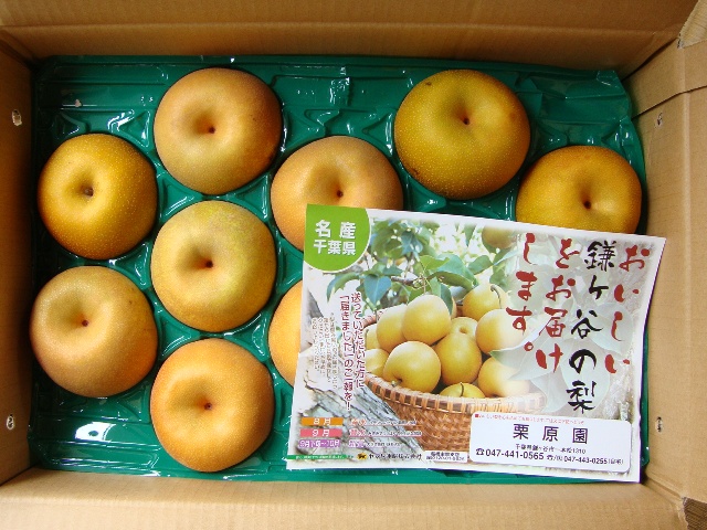 みなさん、ごちそうさまです!_a0126590_603451.jpg