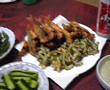 d0020993_84486.jpg
