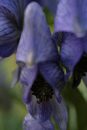d0133693_5193446.jpg