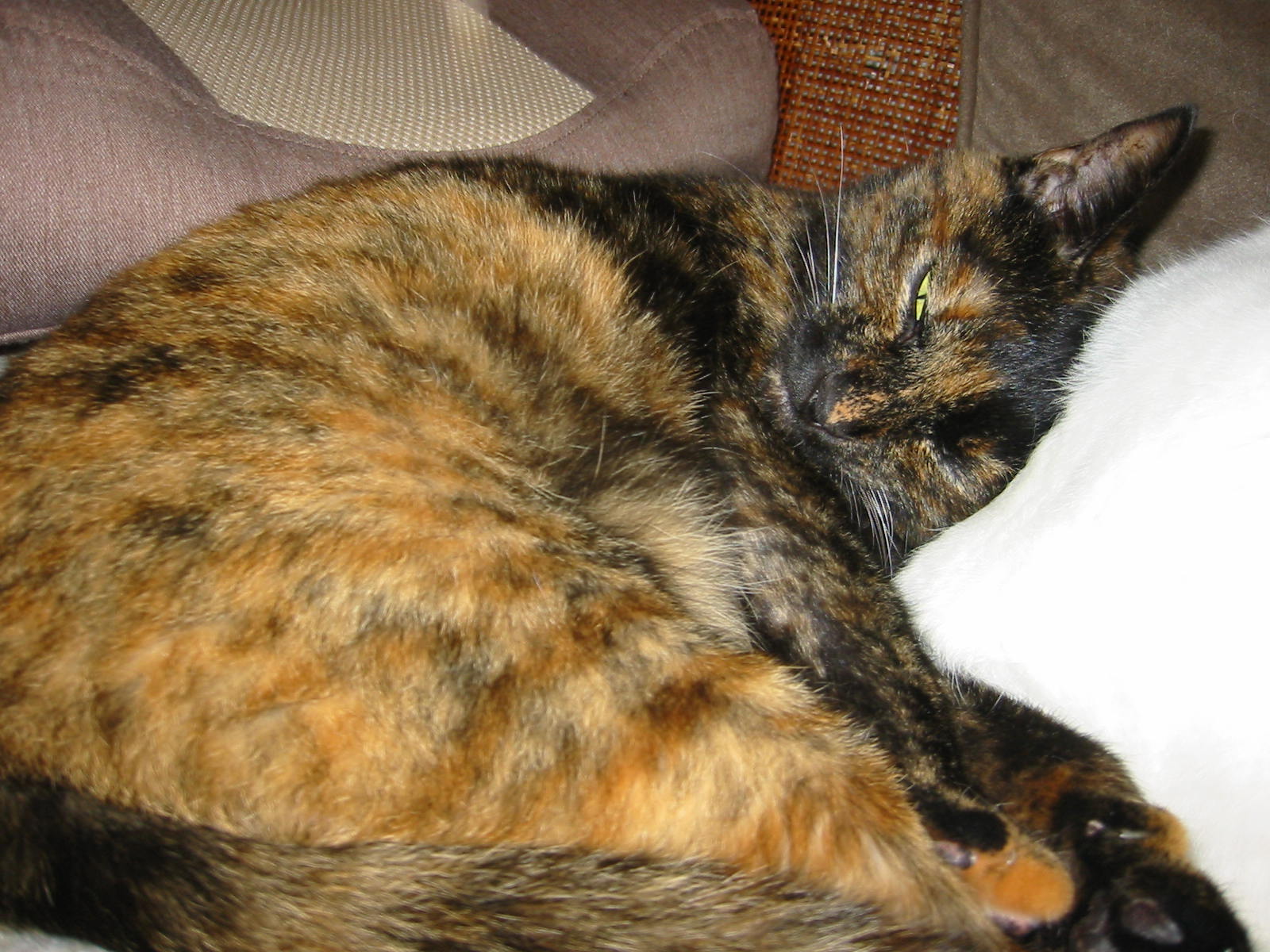 f0057094_12395712.jpg
