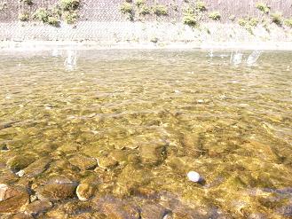 高津川浄化大作戦_d0087595_1118537.jpg