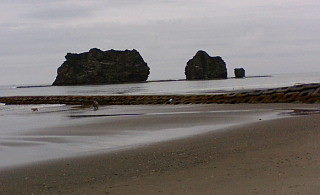 f0200795_921922.jpg