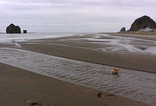 f0200795_95519.jpg