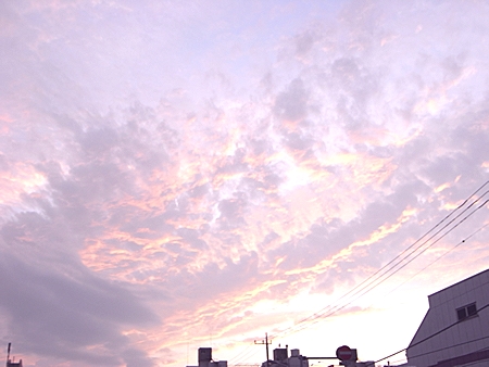b0183497_2328335.jpg