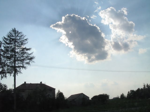 f0129897_1971780.jpg