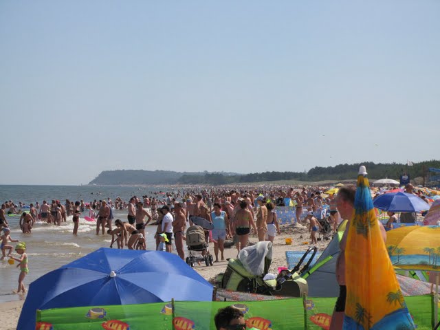 f0129897_694811.jpg