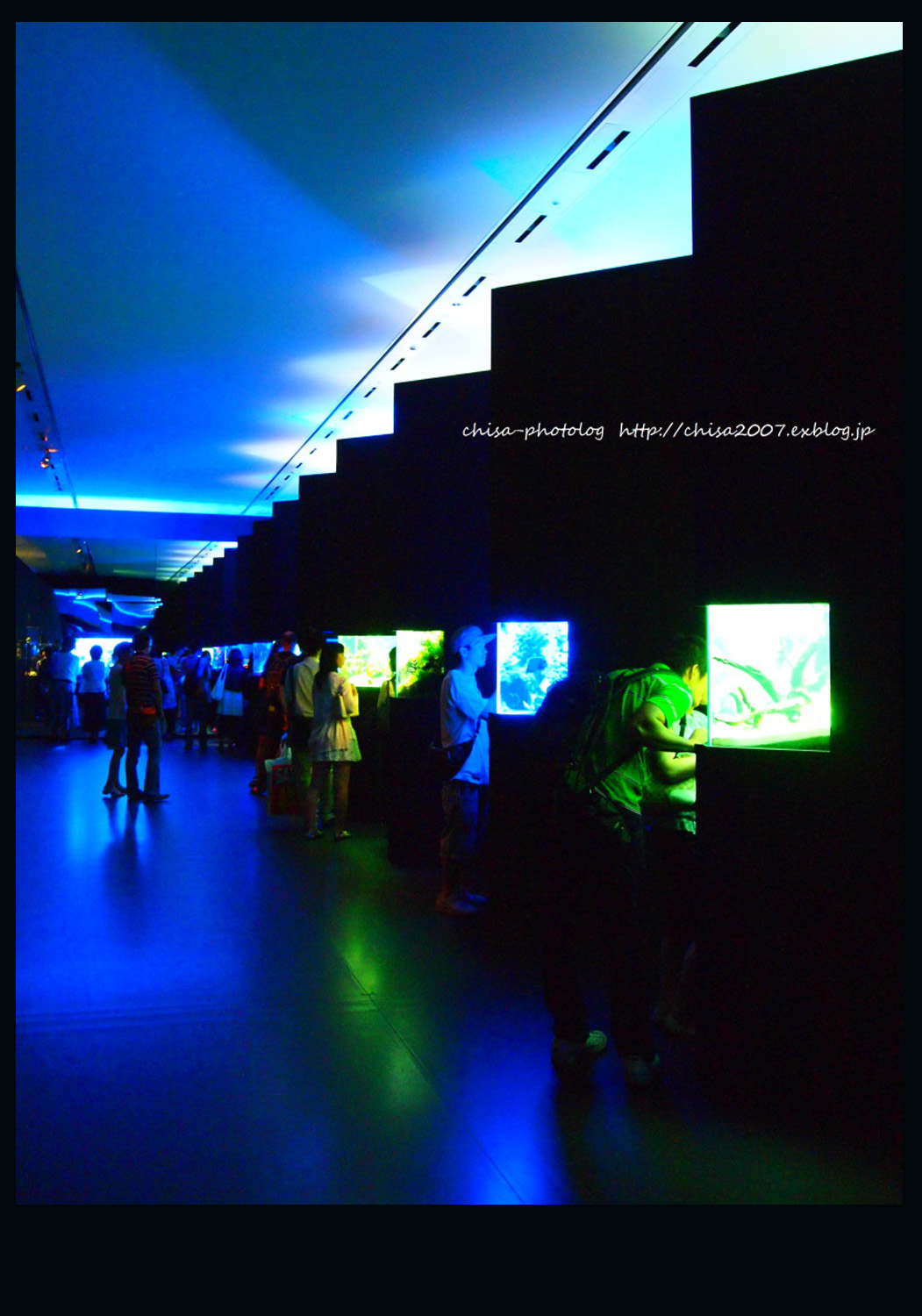 c0158998_05899.jpg
