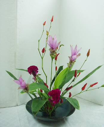 かわいい夏の実物の生け花 ふくふくブログ 花のkankoの美楽な芸術的生活 かわいい夏の実物の生け花 ふくふくブログ 花のkankoの美楽な芸術的生活