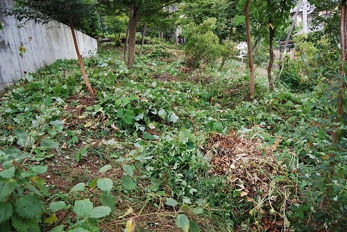 c0124100_18184865.jpg