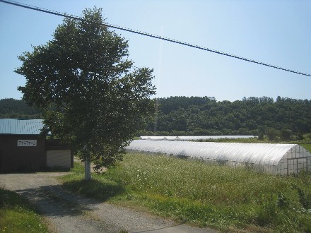 f0032403_16172468.jpg