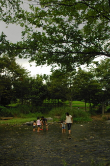 d0107204_14551097.jpg