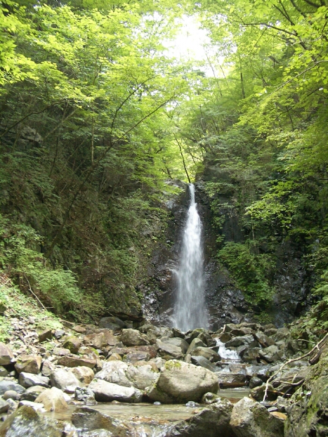 b0172805_1314950.jpg