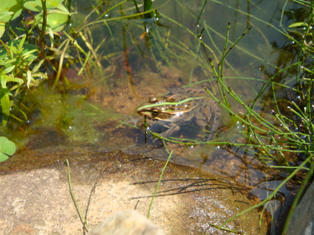 e0175905_23211766.jpg