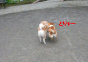 e0131506_00161.jpg