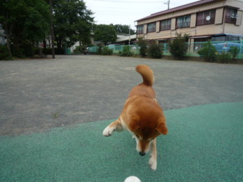 e0131506_23355493.jpg