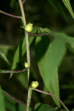f0041606_20893.jpg
