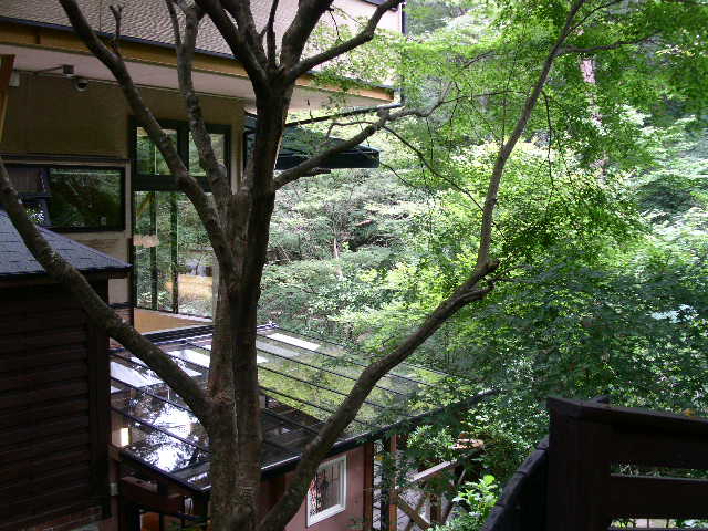 c0152507_4341535.jpg