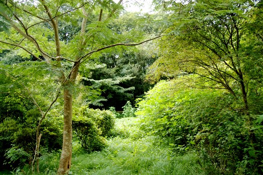 c0097309_10222890.jpg