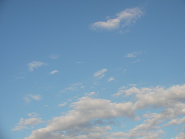f0054610_186953.jpg