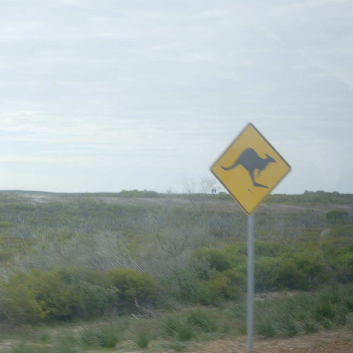 e0142611_1565289.jpg