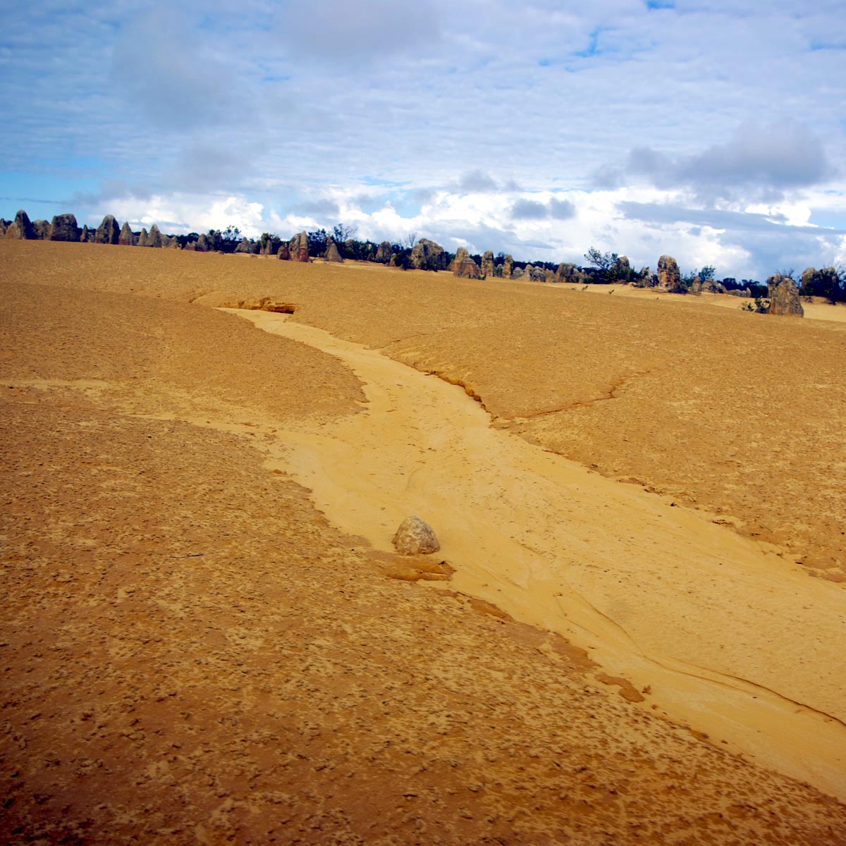 e0142611_20215554.jpg