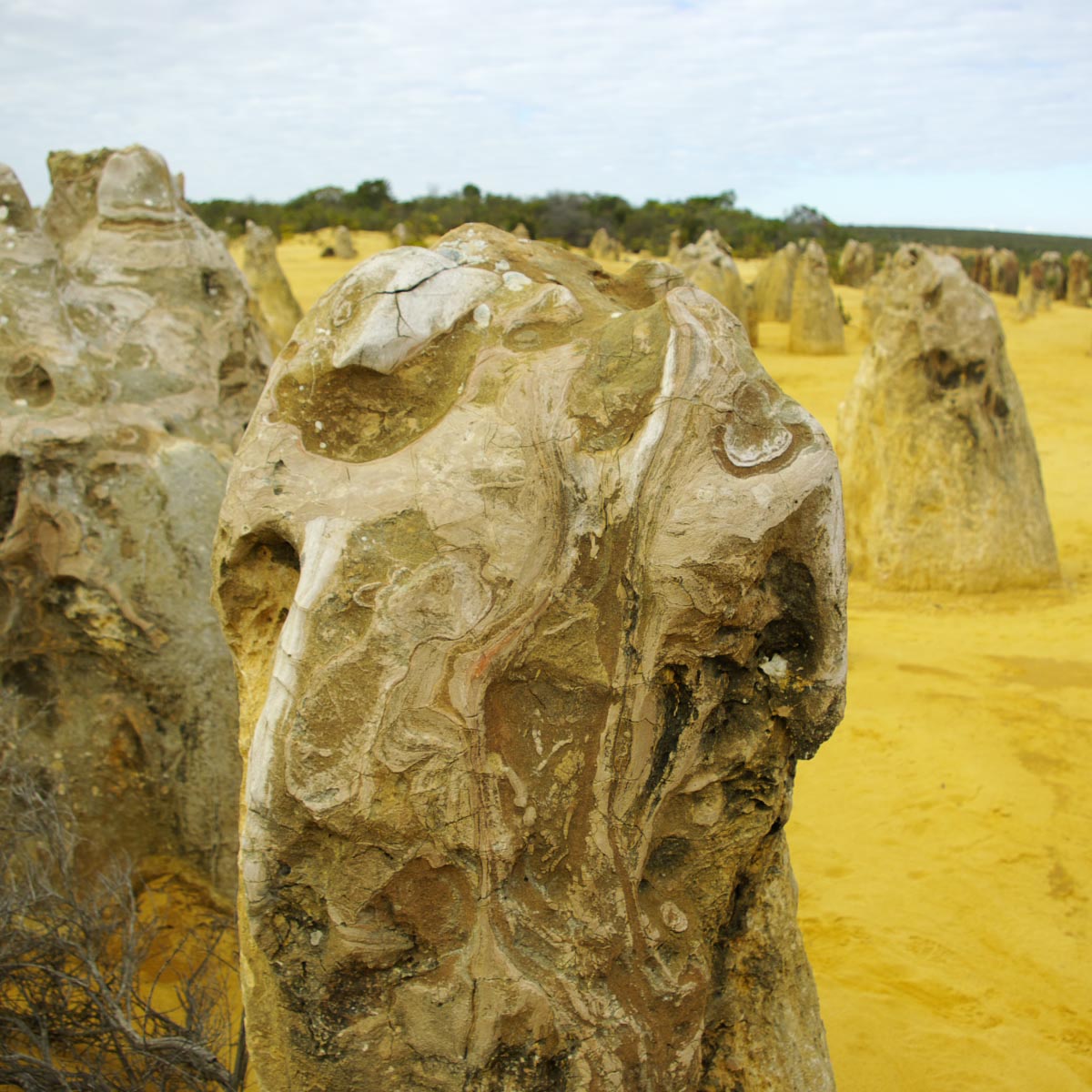 e0142611_207015.jpg