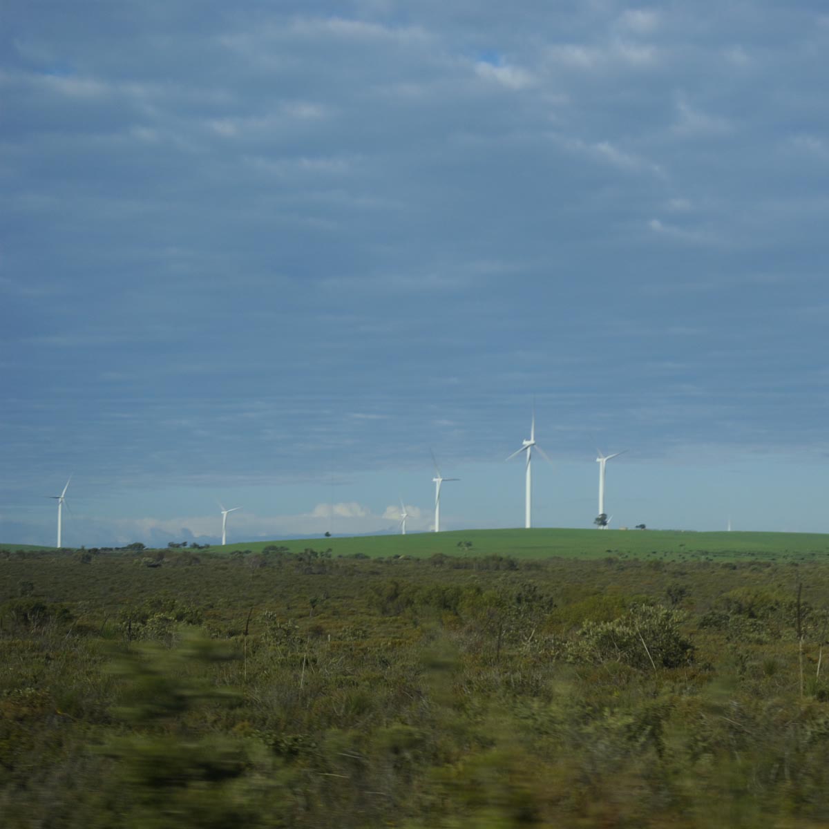 e0142611_21508.jpg