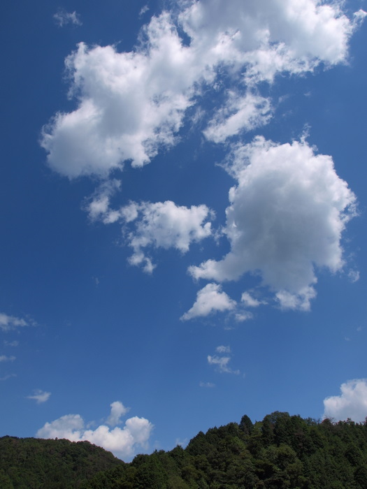 今日の空。。_c0116915_22585466.jpg