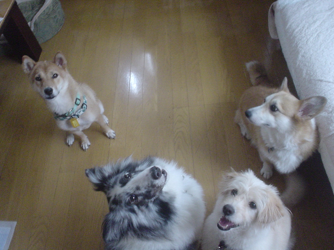 c0150520_2115153.jpg