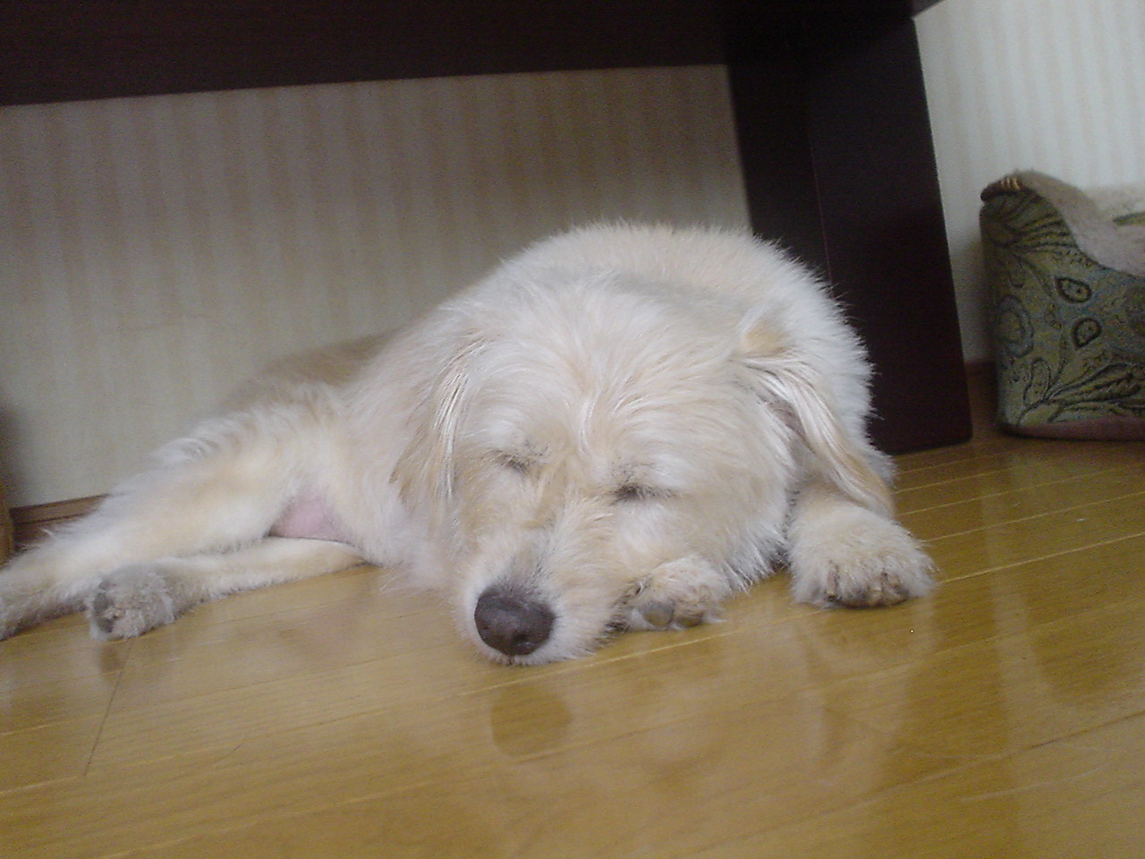 c0150520_21213527.jpg
