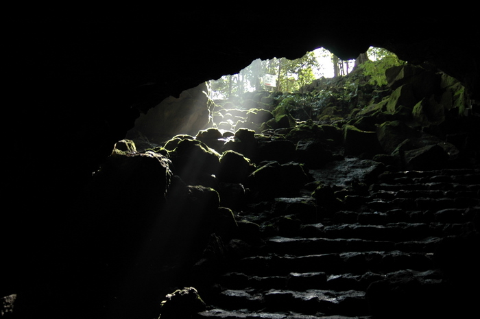 b0165522_1711290.jpg