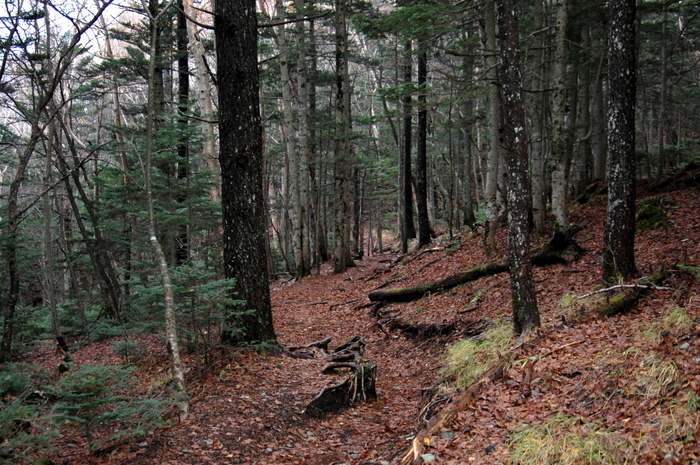 b0165522_1765814.jpg