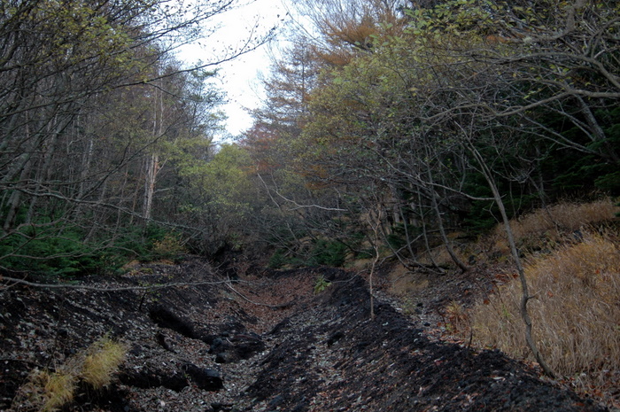 b0165522_1773178.jpg