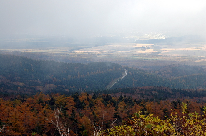 b0165522_1775682.jpg