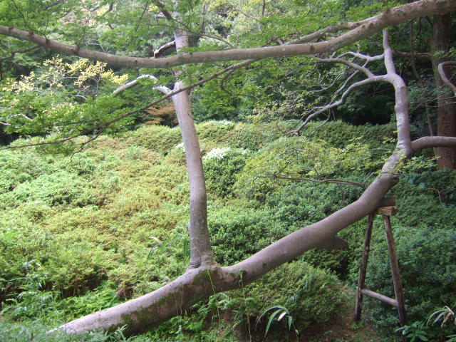 f0183722_20153951.jpg