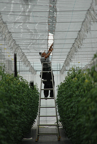b0178923_18505086.gif
