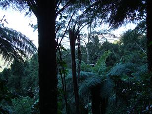 c0076823_1619397.jpg