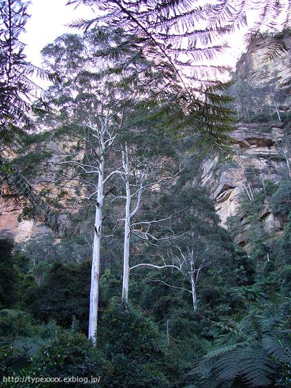c0076823_1654077.jpg