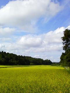 f0018424_9351085.jpg