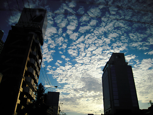 d0017632_9142587.jpg