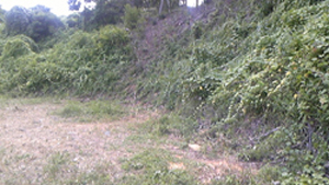 f0161535_21161112.jpg