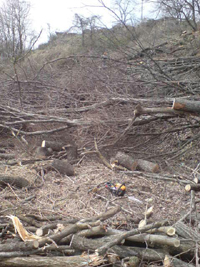 f0161535_213411.jpg