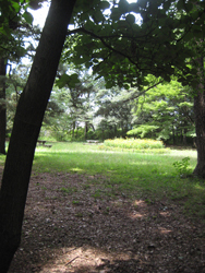 There\'s a light_f0038336_1150176.jpg