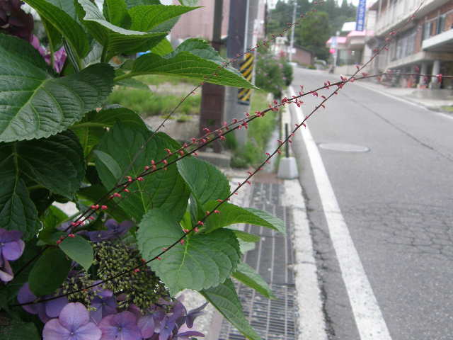 e0126946_21493657.jpg