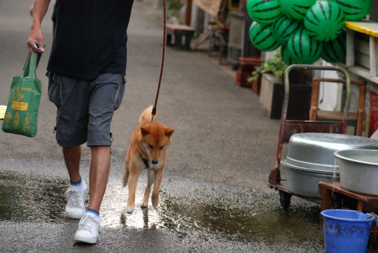 24.8.2009　小さな夏祭_e0009147_1648348.jpg