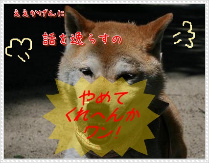 夏の終わりに_c0049950_8365024.jpg